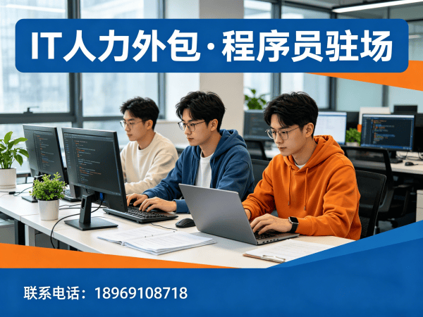 南通Go开发程序员外包解决方案：破解企业IT人力困境的高效选择