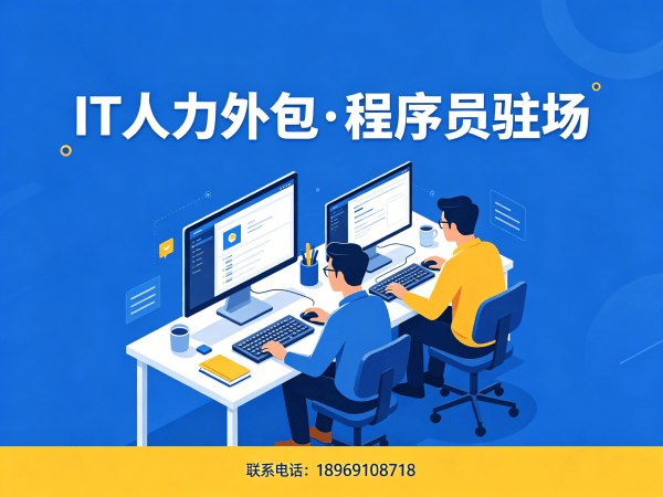 长沙IT人力外包解决方案：爬虫工程师程序员驻场开发快速响应