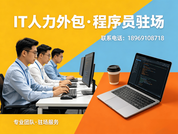 宁波Go开发程序员外包服务承诺:专业IT人力外包解决方案
