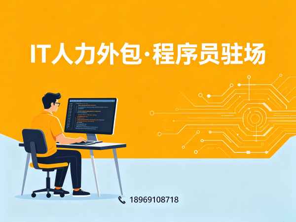 天津小程序开发程序员或是工程师人力外包技术支持解决方案